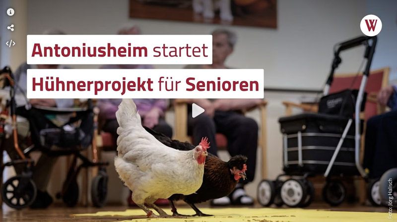 Antoniusheim Altenzentrum Hühnerprojekt für Senioren