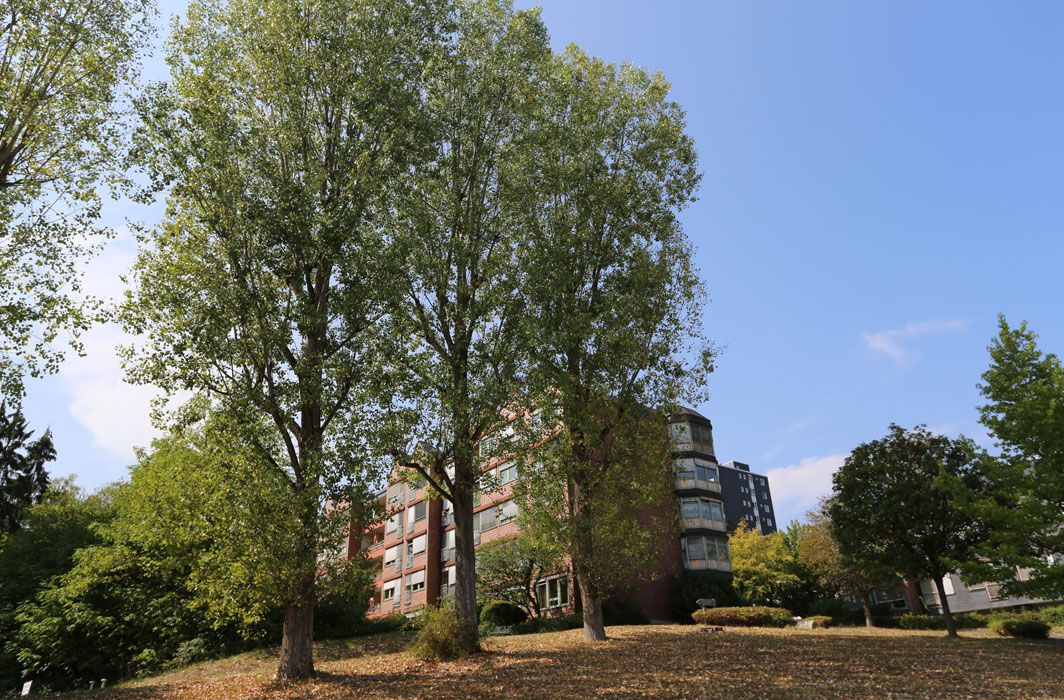 Das Antoniusheim Altenzentrum in Wiesbaden mit Park