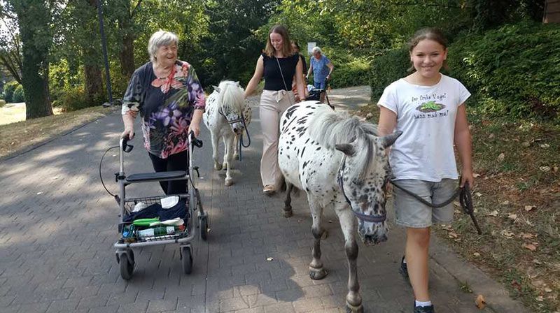 Ponys besuchen das Antoniusheim Altenzentrum in Wiesbaden